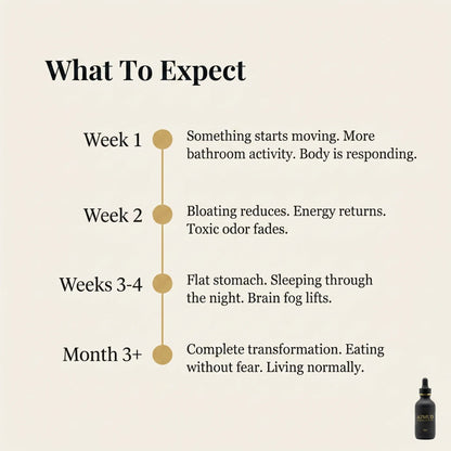 AZMUD Ethiopian Black Seed Oil Drops